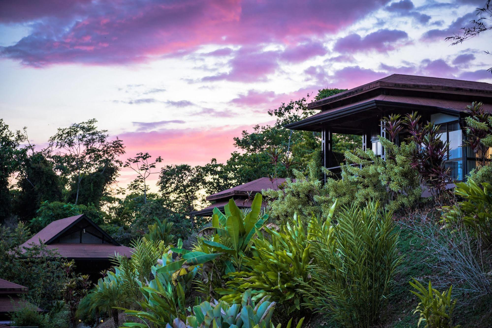 Tiki Villas Rainforest Lodge & Spa Uvita Εξωτερικό φωτογραφία