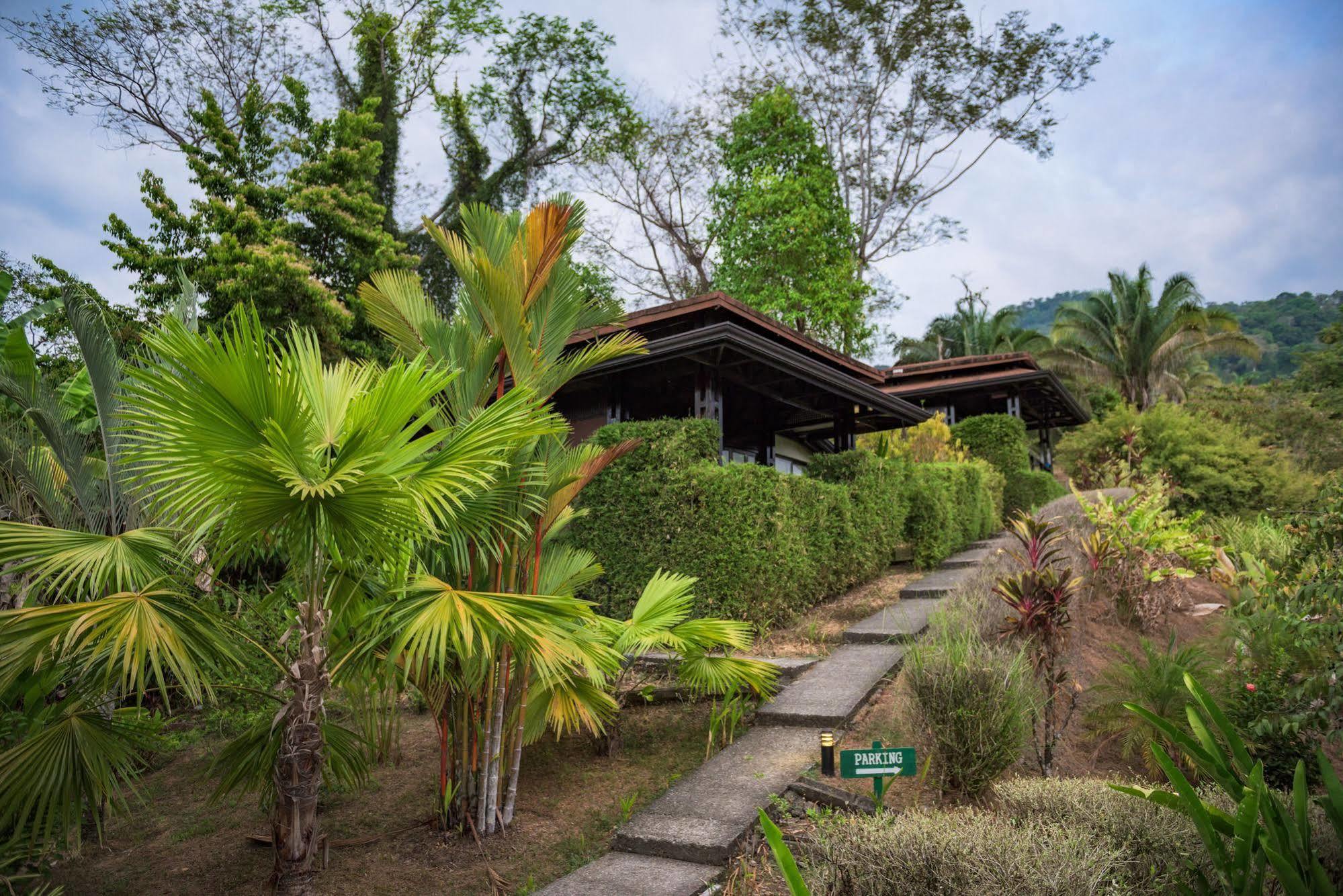 Tiki Villas Rainforest Lodge & Spa Uvita Εξωτερικό φωτογραφία