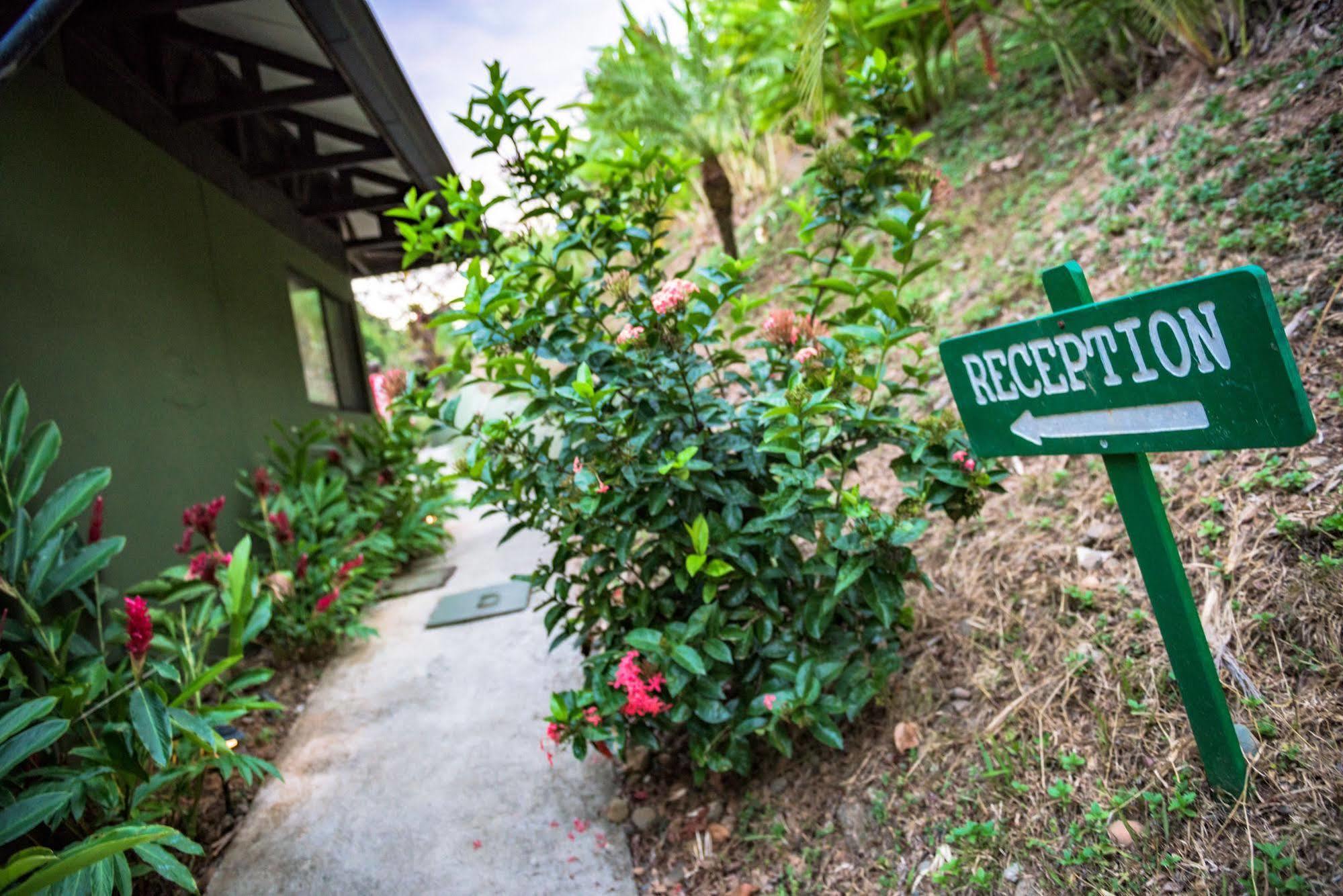 Tiki Villas Rainforest Lodge & Spa Uvita Εξωτερικό φωτογραφία
